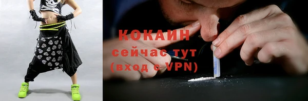 МДПВ Алзамай