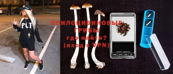 PSILOCYBIN Алексеевка