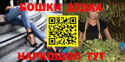 мдпв Будённовск