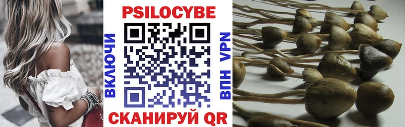 где найти наркотики Ачинск Галлюциногенные грибы Magic Shrooms