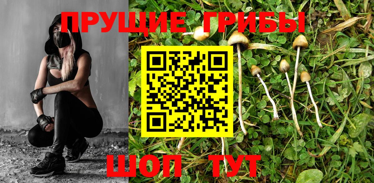 сколько стоит  Псилоцибиновые грибы Psilocybe  Вход с VPN  Ачинск 