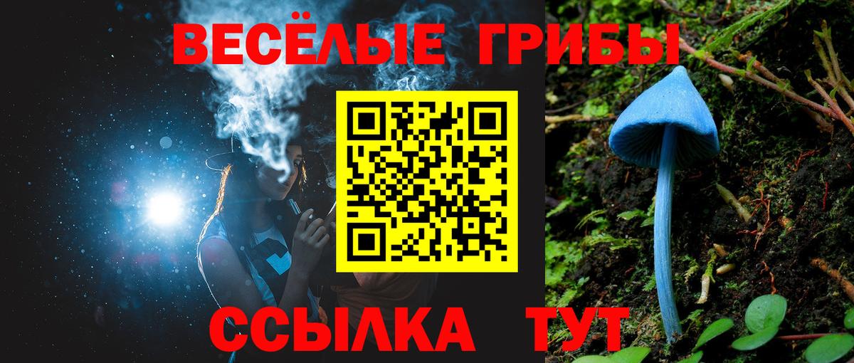 Галлюциногенные грибы Magic Shrooms Ачинск